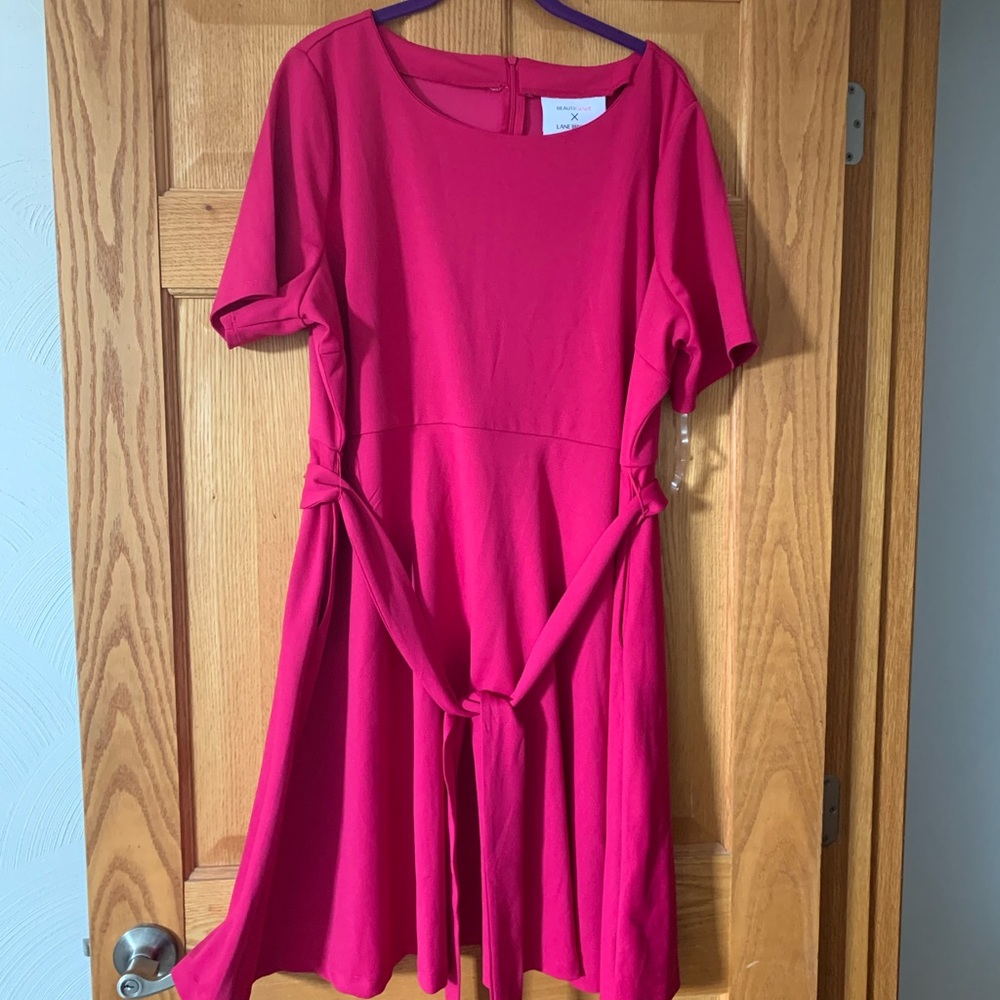 Lane Bryant Dress